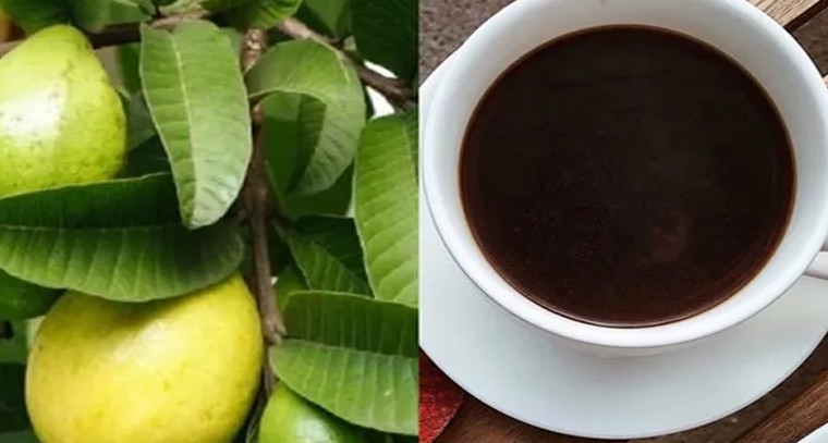 జామాకుల టీ తాగితే ఈ సమస్యలన్నీ దూరం
