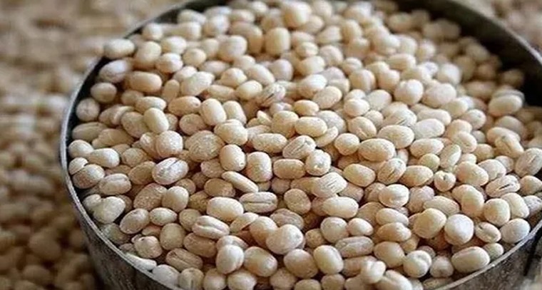 ఈ పప్పుతో ఎన్నో ఆరోగ్య ప్రయోజనాలు
