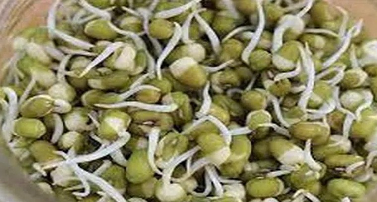 ఉదయాన్నే ఇవి తింటే మంచిది
