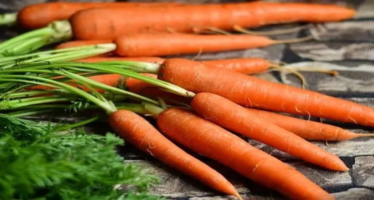 క్యారెట్ తో చక్కటి ఉపయోగాలు
