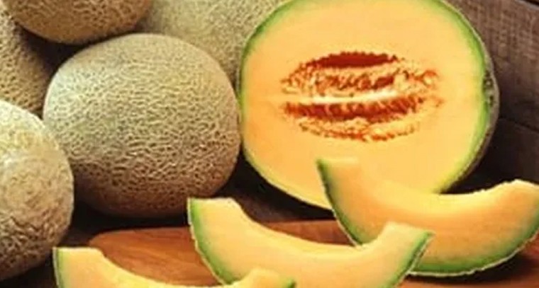 కర్భూజ పండు తినడం వల్ల ఎన్నో ఉపయోగాలు
