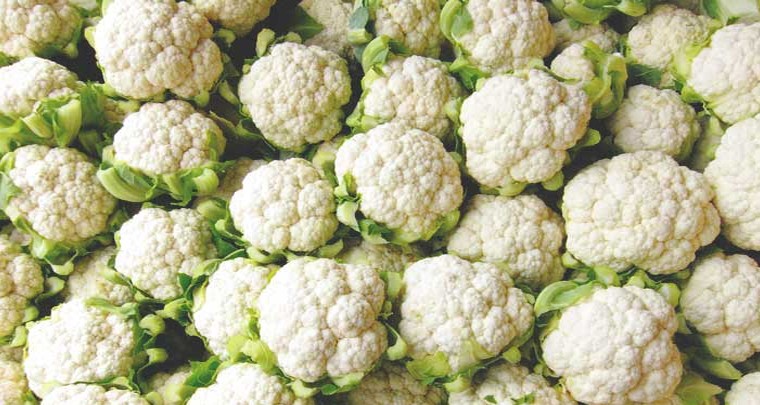 కాలీఫ్లవర్ వల్ల అనేక ఆరోగ్య ప్రయోజనాలు