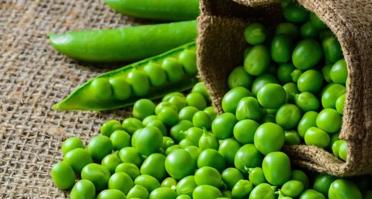 పచ్చి బఠానీలతో అద్భుత ప్రయోజనాలు
