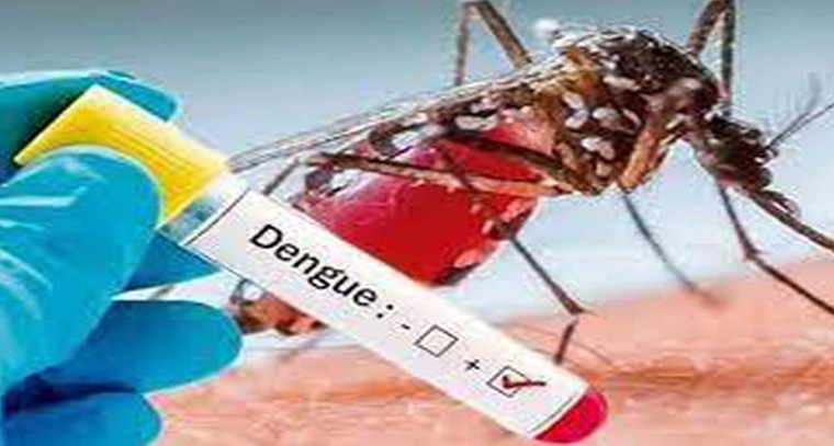 ఇవి తింటే ఆకలి బాగా పెరుగుతుంది
