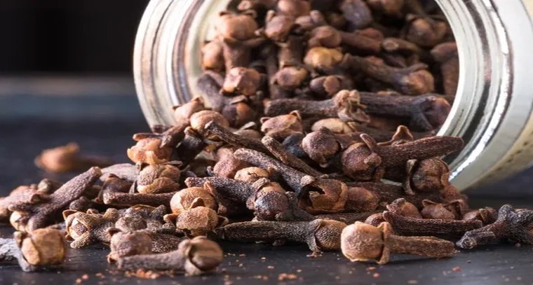 లవంగం రోజుకు ఒకటి తింటే ఎన్ని లాభాలో తెలుసా?
