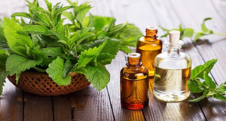 చిన్న వయస్సులోనే బట్టతల వేధిస్తోందా?
