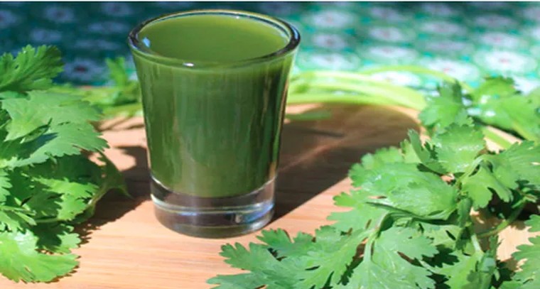 జ్ఞాపకశక్తి పెంచే కొత్తిమీర
