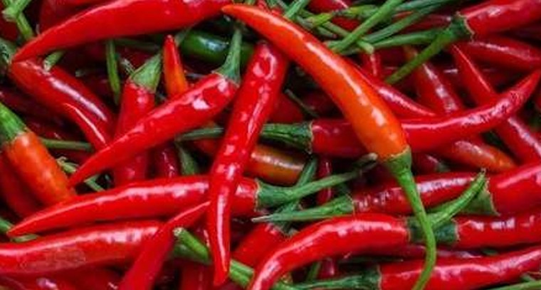 మిరపకాయ తినడం వల్ల కలిగే ప్రయోజనాలు 