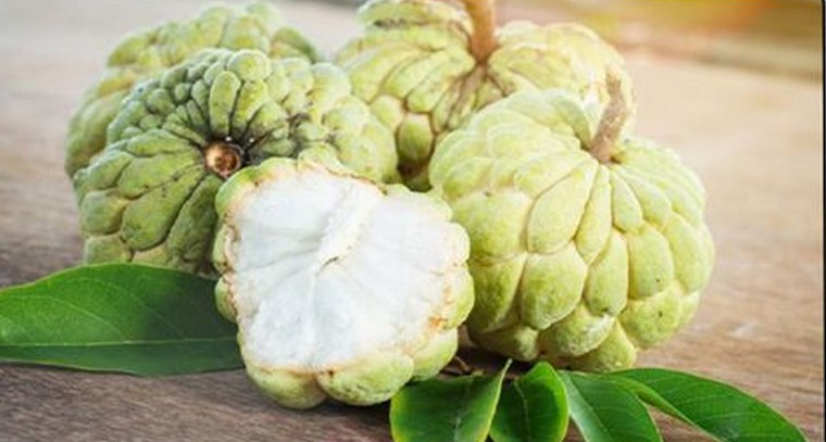 సీతాఫలం తింటే ఎన్నో ఆరోగ్య ప్రయోజనాలు
