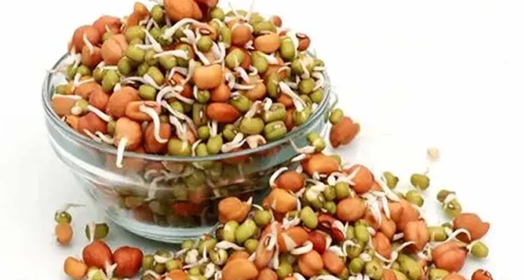 గర్భిణులు మొలకెత్తిన విత్తనాలు తినాలా,వద్దా?
