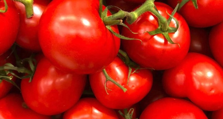 టమాటా తింటే ఆ సమస్యలన్నీ దూరమైనట్లే..!
