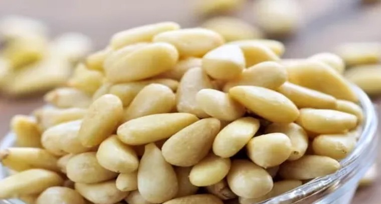 చిల్గోజా గింజలతో అనేక ఆరోగ్య ప్రయోజనాలు
