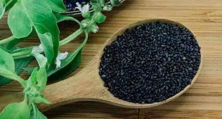 తులసి గింజలు తింటే కలిగే లాభాలివే
