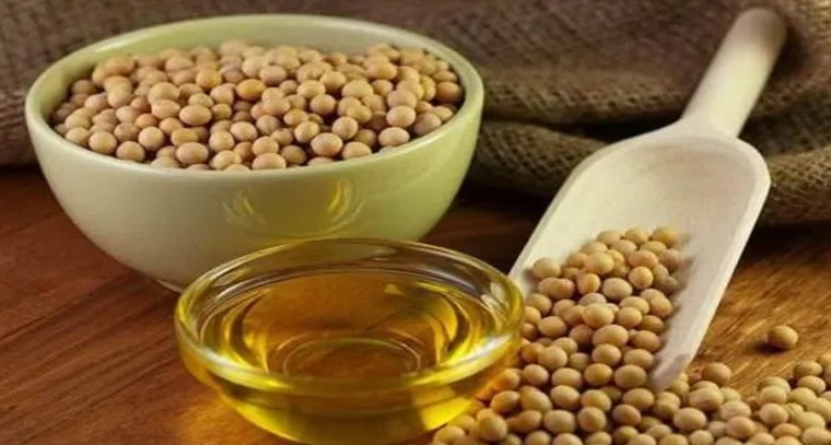 సోయా నూనెను వంటల్లో వాడుతున్నారా? జాగ్రత్త!
