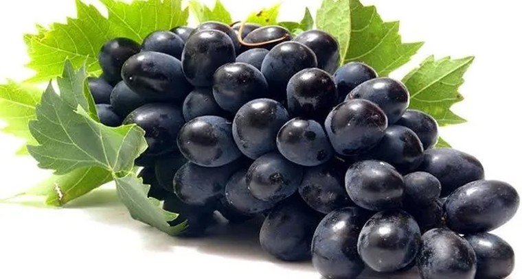 నల్లద్రాక్షతో నమ్మలేని ప్రయోజనాలు