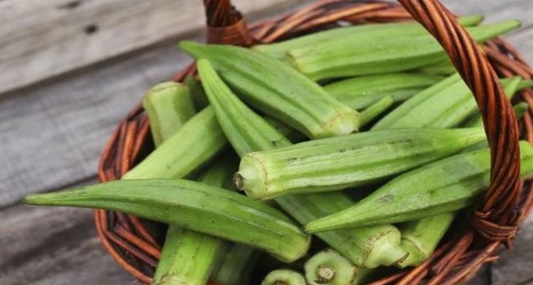 డయాబెటిస్ ఉన్న వాళ్లు బెండకాయ తినొచ్చా?
