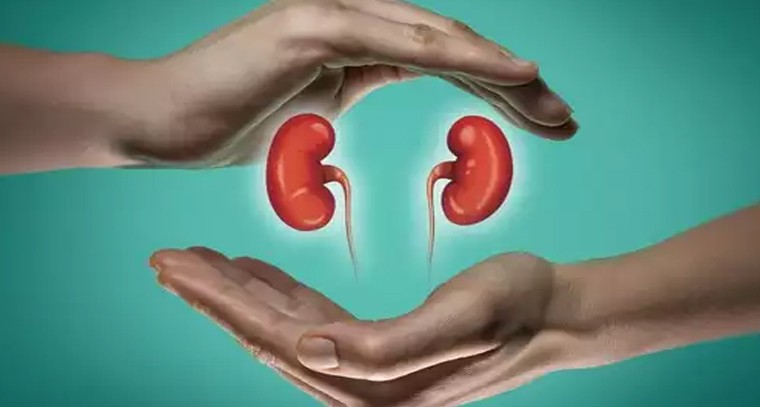 కిడ్నీలు ఆరోగ్యంగా ఉండాలంటే ఇలా చేయండి
