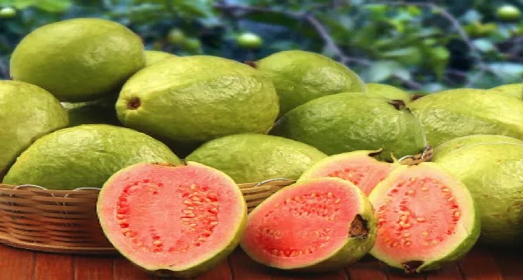 నేటి నుండి పది పరీక్షలు
