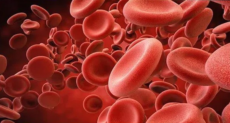 ప్లేట్‌లెట్స్ పెరగాలంటే ఇవి తినండి
