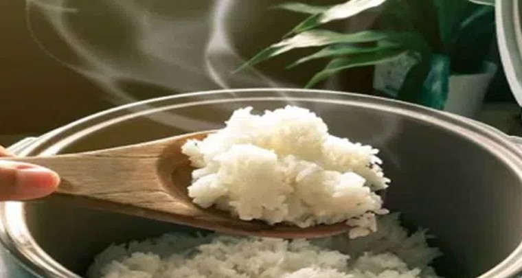 అన్నం వేడి చేసుకు తింటున్నారా?
