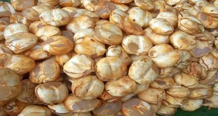 తాటిముంజలతో ఆరోగ్య ప్రయోజనాలు ఇవే
