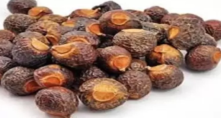 కుంకుడుకాయతో ఆరోగ్య ప్రయోజనాలు
