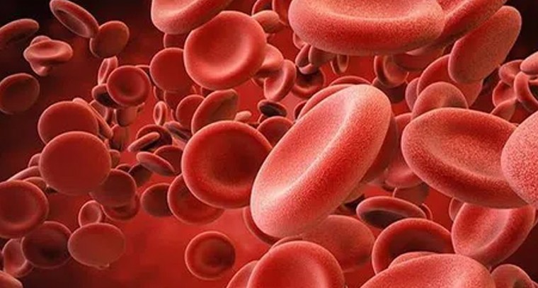 ప్లేట్‌లెట్స్ పెరగాలంటే ఇవి తినండి
