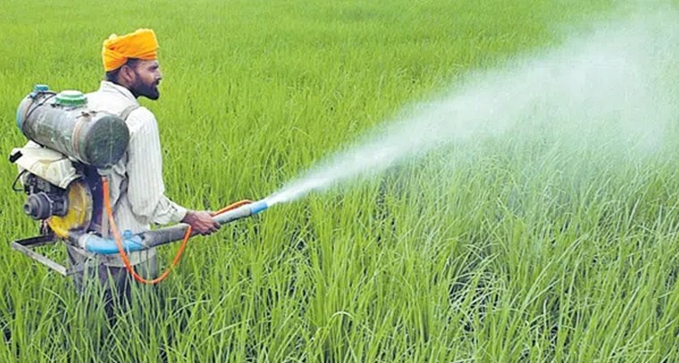 నిత్యం యంగ్‌గా కనిపించేందుకు ఇవి తినండి
