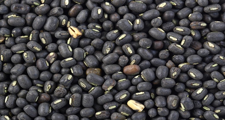 మినుములతో కలిగే ప్రయోజనాలు