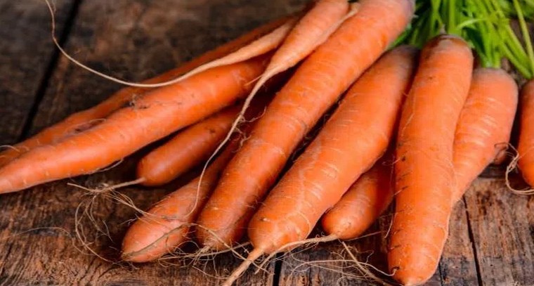 క్యారెట్ తింటే కలిగే ఆరోగ్య ప్రయోజనాలివే
