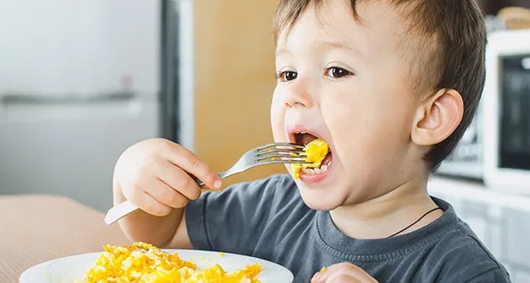 ఆహారం తినకుండా పిల్లలు మారాం చేస్తున్నారా?
