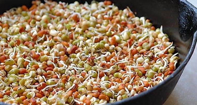 శనగ మొలకలతో ఒత్తిడి మాయం
