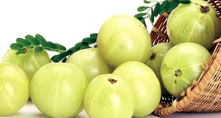 ఉసిరితో ఈ సమస్యలకు చెక్
