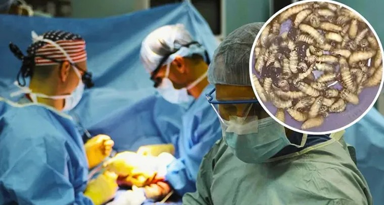 శనగలతో కలిగే ఆరోగ్య ప్రయోజనాలు
