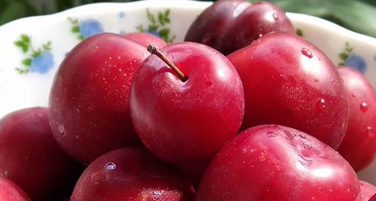 అల్ బుక‌రా పండ్లతో ఆరోగ్య ప్రయోజనాలు
