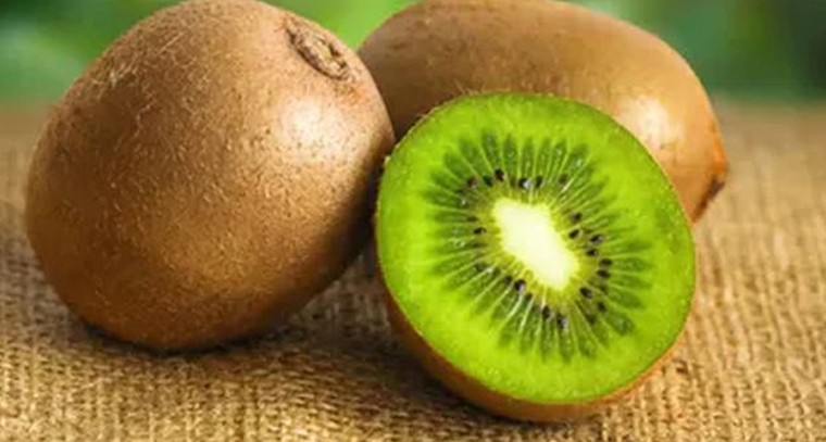 రోజుకు ఒక ‘కివి’ తింటే వ్యాధులు దూరం

