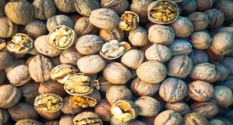 వాల్ నట్స్ తింటే ఏమౌతుందో తెలుసా?
