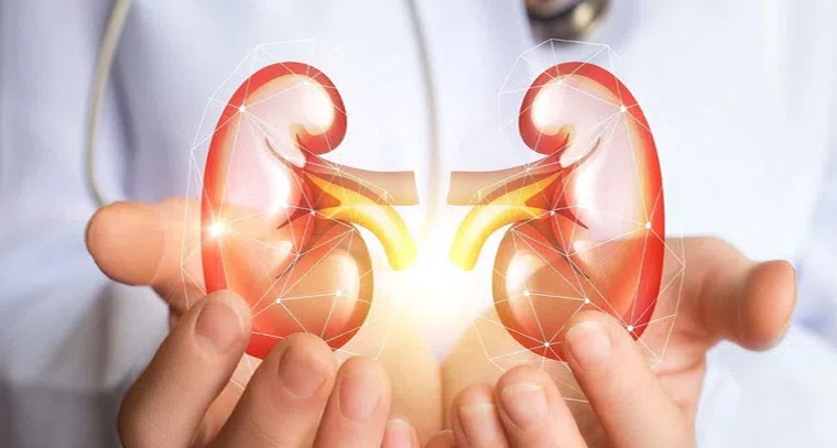 కిడ్నీ సమస్యలకు చెక్ పెట్టండిలా

