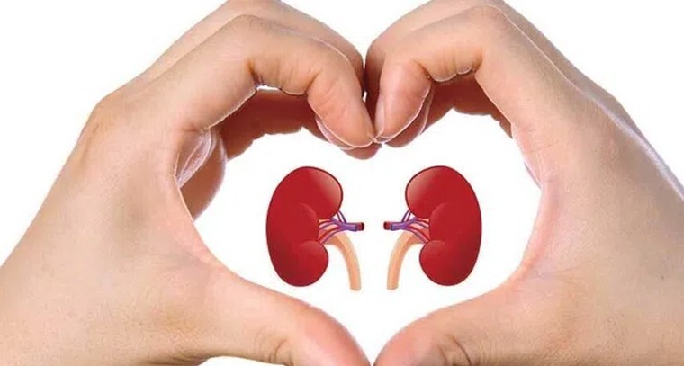 ఈ టిప్స్ పాటించి కిడ్నీలు శుభ్రం చేసుకోండి
