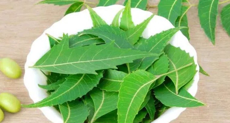 వేపాకుతో ఈ సమస్యలకు చెక్
