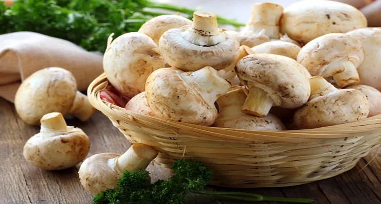 పుట్టగొడుగులు తింటే ఈ 5 వ్యాధులకు చెక్..!
