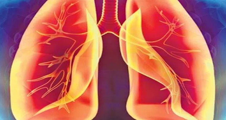 లంగ్స్ ప్రాబ్లమ్స్ తెలిపే లక్షణాలివే!
