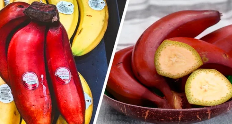 రెడ్ బనానాతో దంత సమస్యలకు చెక్
