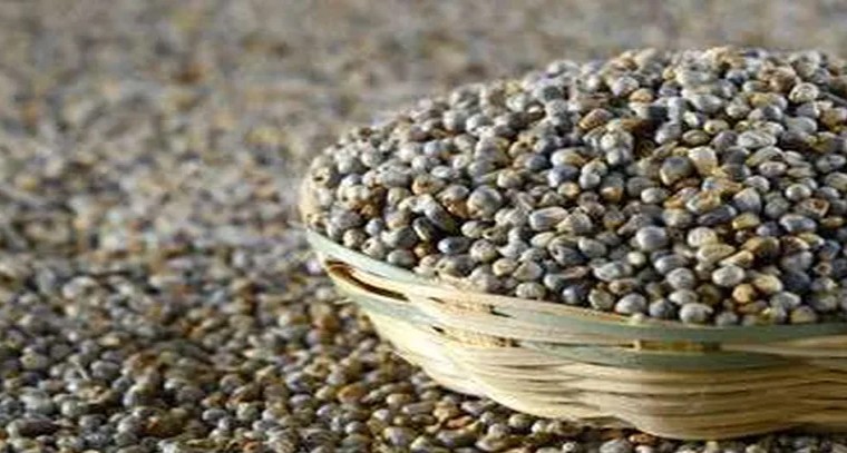 సజ్జలు తింటే బరువు తగ్గుతారా.?
