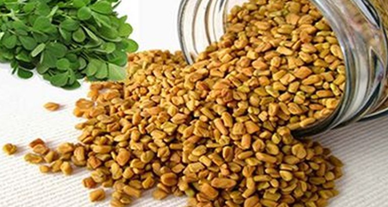 మెంతులతో ఆరోగ్య ప్రయోజనాలు
