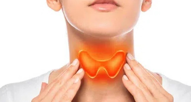థైరాయిడ్ కు వీటితో చెక్ పెట్టండి
