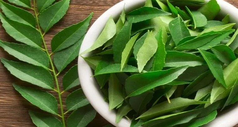 కరివేపాకులు ఎక్కువ రోజులు నిల్వ ఉండాలంటే ఇలా చేయండి
