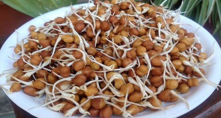 శనగ మొలకలతో ఒత్తిడి మాయం
