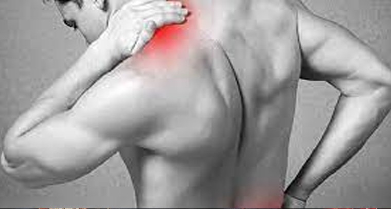 తమలపాకుతో ఎన్నో ఆరోగ్య ప్రయోజనాలు
