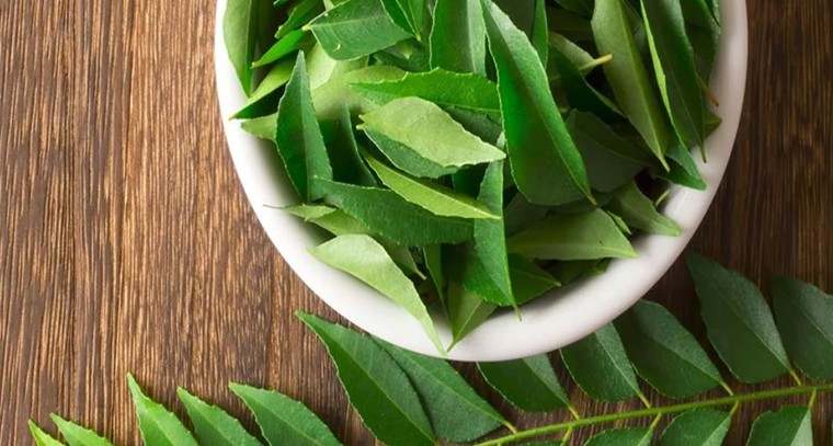 కరివేపాకు తింటే లాభాలివే
